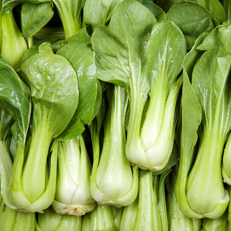 First Cut Farm Organic Baby Bok Choy
