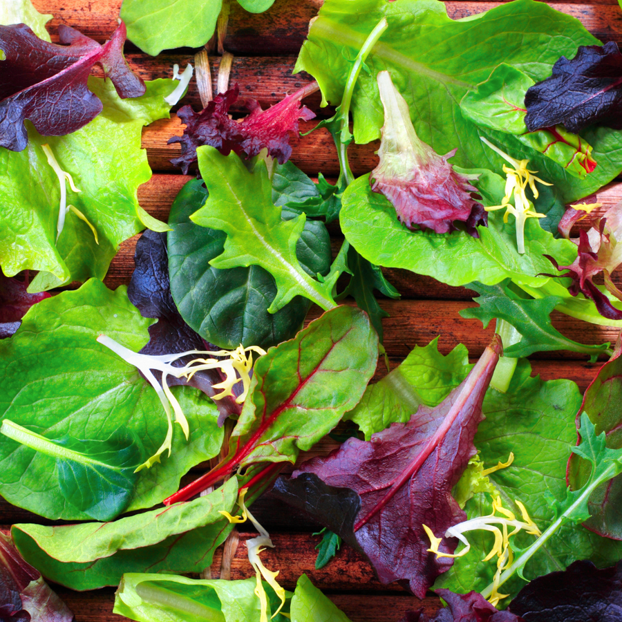 Foothills Farm Organic M&M Salad Mix