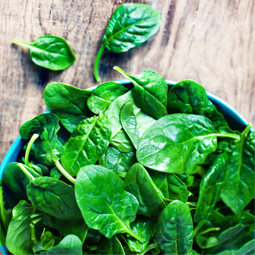 Foothills Farm Organic Spinach