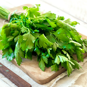 The Crows Farm Organic Italian Parsley