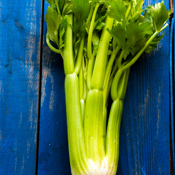 Hedlin Farms Organic Celery