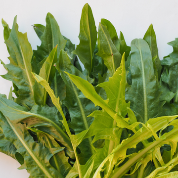 Foothills Farm Organic Baby Leaf Chicory Salad