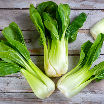 Foothills Farm Organic Bok Choy