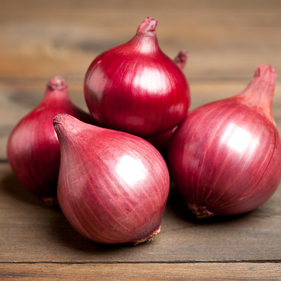 Hopewell Farm Organic Red Onions