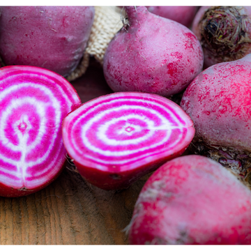 Spring Time Farm Organic Chioggia Beets