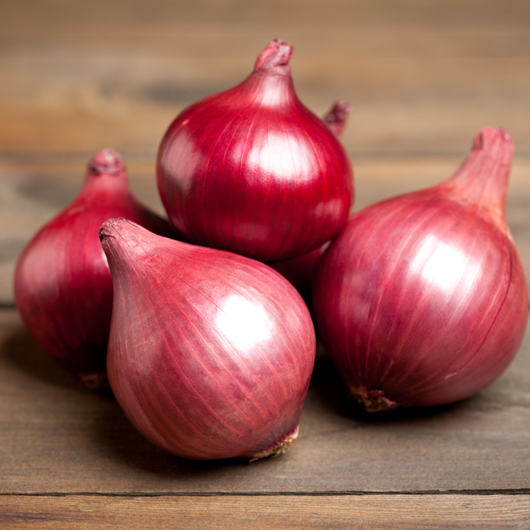 First Cut Farm Organic Red Onions