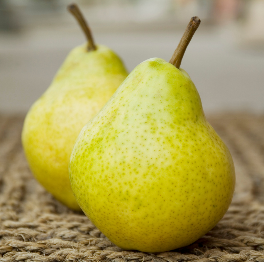 Collins Family Orchards Organic Packham Pears