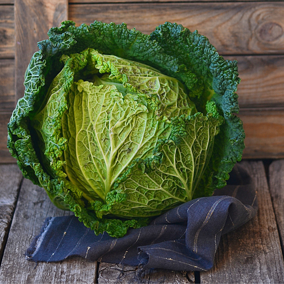 Foothills Farm Organic January Savoy Cabbage