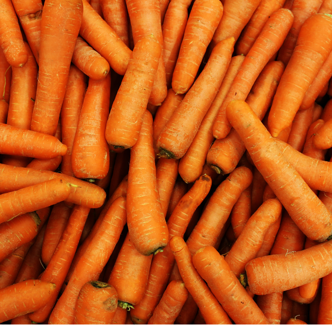 Griffin Creek  Farm Organic Nantes Carrots Seconds