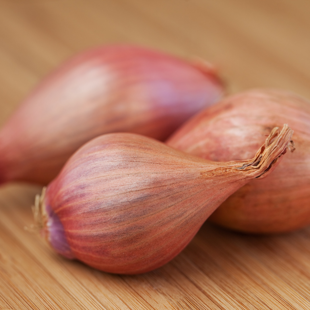 First Cut Farm Organic Shallots