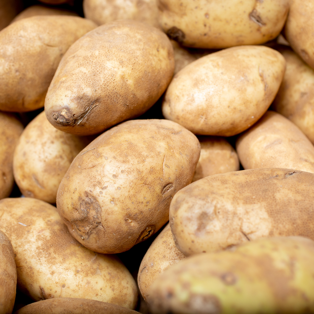 Olsen Farms Organic Russet Potatoes