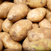 Olsen Farms Potatoes