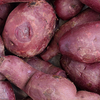 Olsen Farms Potatoes