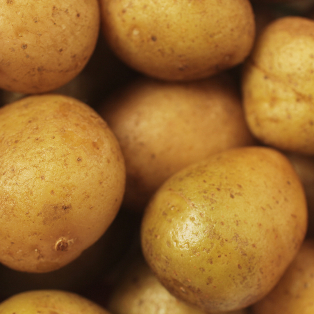 Olsen Farms Organic Yukon Gold Potatoes