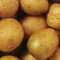 Olsen Farms Potatoes