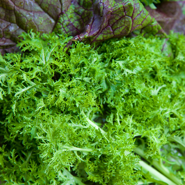 Spring Time Farm Mixed Mustard Greens