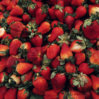 Regino Farms Organic Strawberries