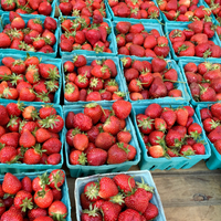 Regino Farms Organic Strawberries
