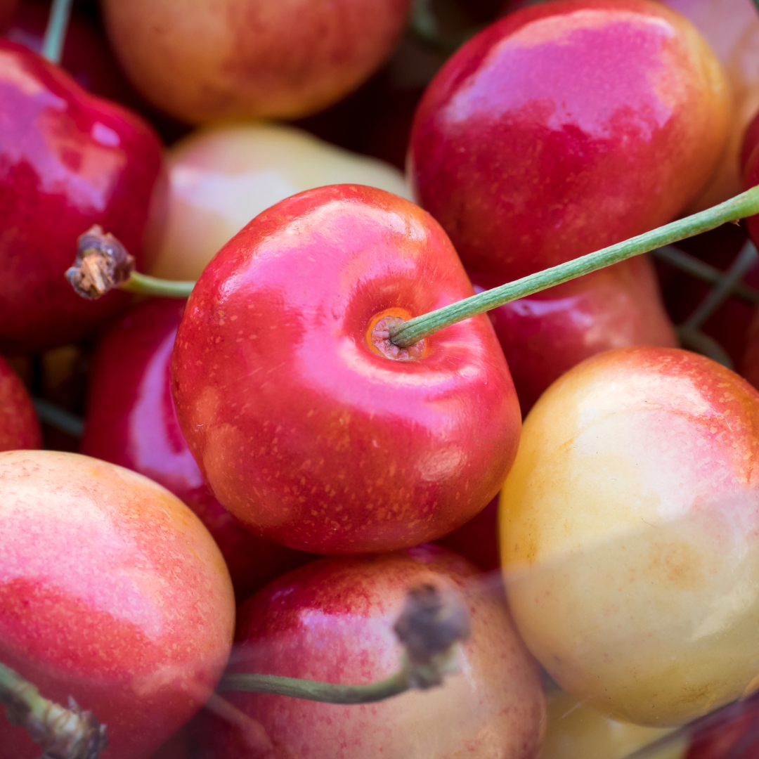 Lyall Farm Rainier Cherries