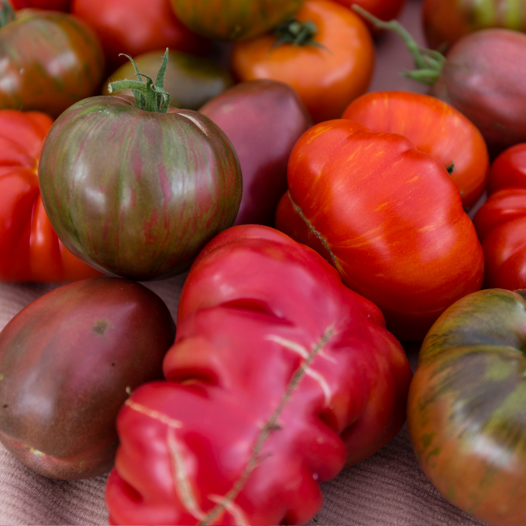 Hedlin Farm Organic Heirloom Tomatoes