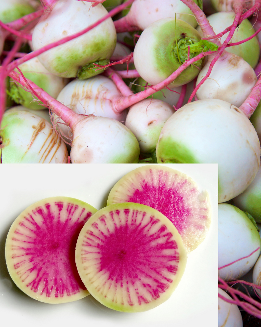 Boldly Grown Farm Organic Watermelon Radish