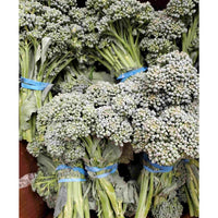 Griffin Creek Baby Broccoli
