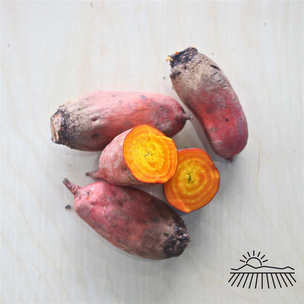 Boldly Grown Farm Organic Badger FlameBeets