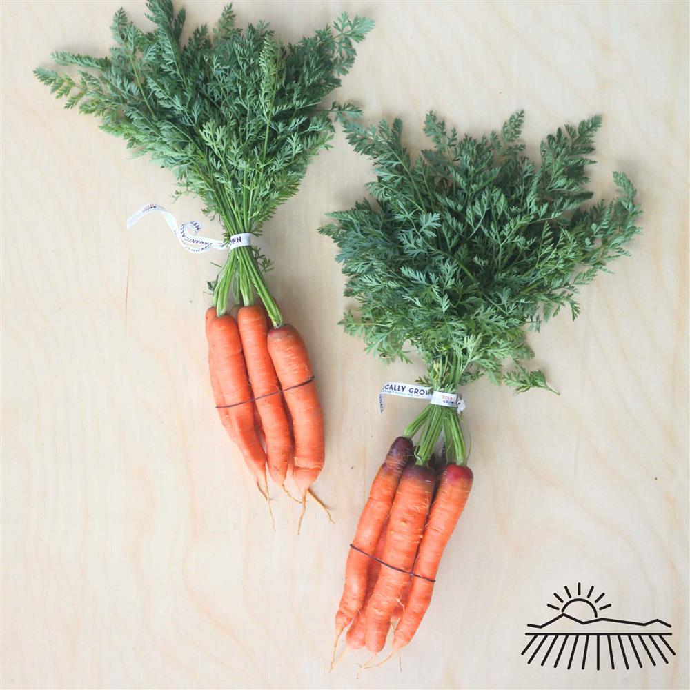Boldly Grown Organic Orange Carrots