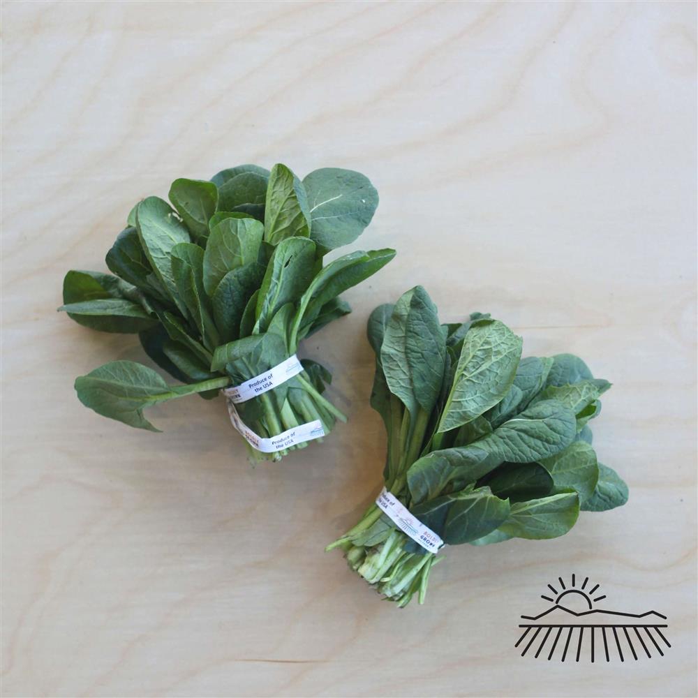 Boldly Grown Tatsoi