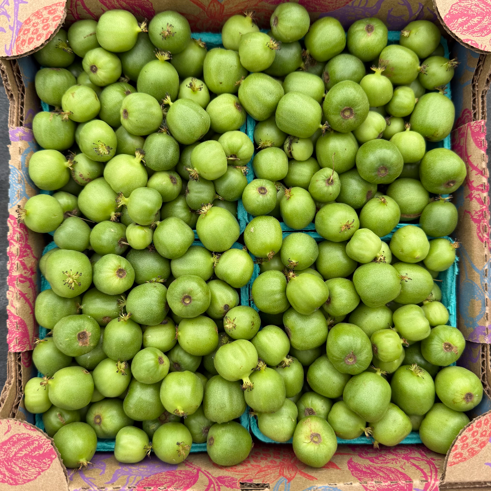 Hayton's Hardy Kiwi Berries