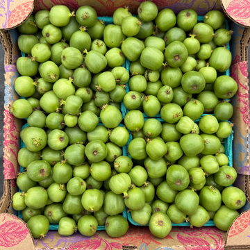Hayton's Hardy Kiwi Berries