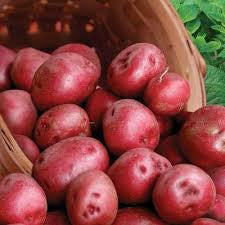 Olsen Farms Organic Kennebec Potatoes