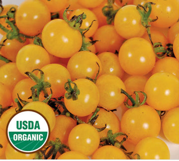 Alvarez Organic Farms Mixed Cherry Tomatoes