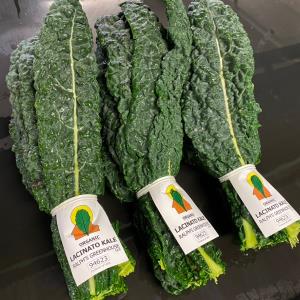 Ralphs Greenhouse Organic Lacinato Kale