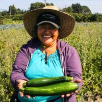 Pure Nelida Farms Organic Zucchini
