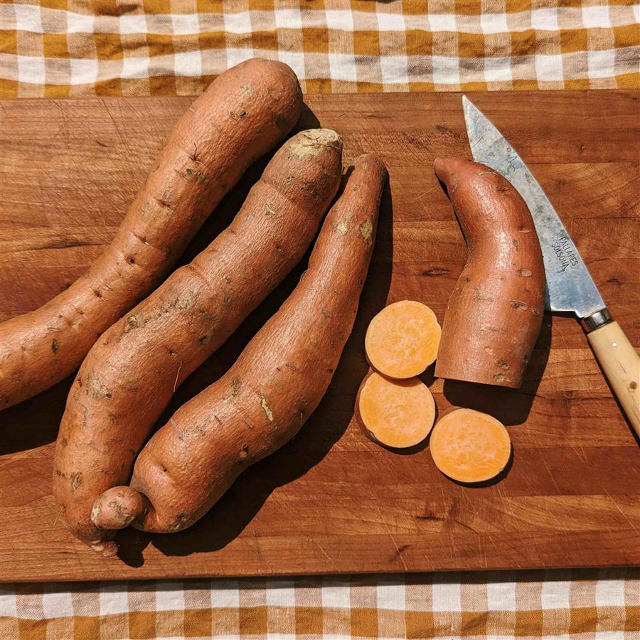 Swiss Farm Organic Beauregard Sweet Potatoes