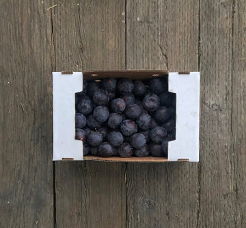 Collins Family Orchards Organic Angelino Plums