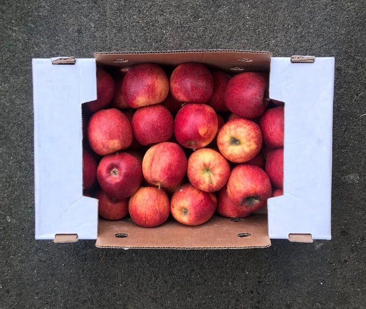 Collins Family Orchards Organic Starking Apples