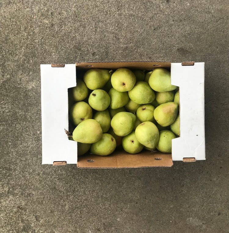 Collins Family Orchards Organic Anjou Pears