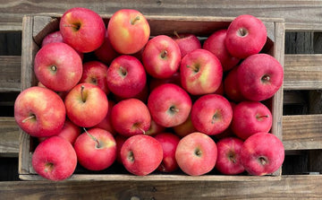 Collins Family Orchards Sunrise Magic Apples