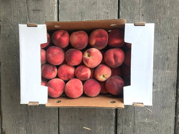 Collins Family Orchards White Freestone Peaches