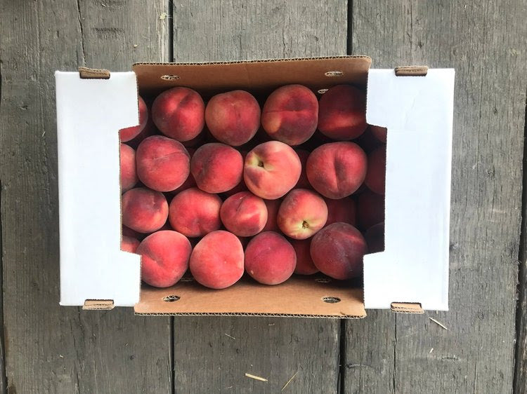 Collins Family Orchards White Freestone Peaches