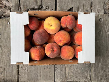 Collins Family Orchards Suncrest Freestone Yellow Peaches