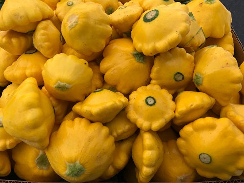 Pure Nelida Organic Patty Pan Squash