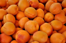 Collins Family Orchards Organic Robada Apricots