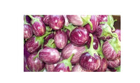 Alvarez Organic Farms Organic Mixed Eggplant