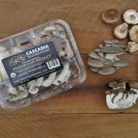 Organic Mushroom Medley