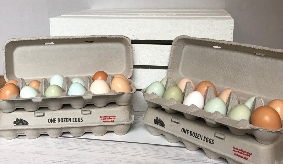 Left Foot Farm Organic Pastured Eggs Subscription