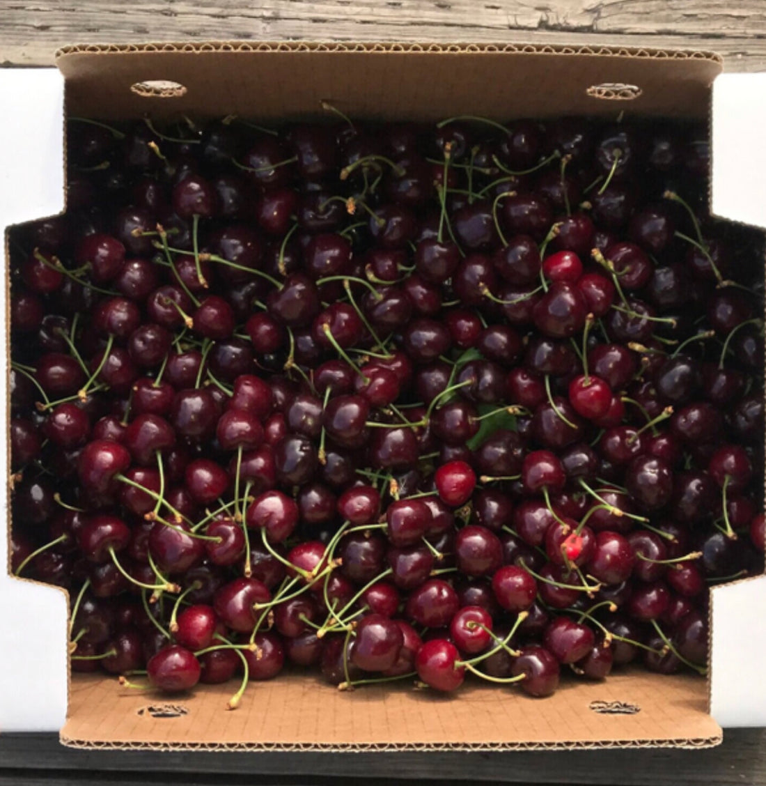 Collins Family Orchards Organic Cherries