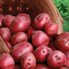Olsen Farms Organic New Red Lasoda Potatoes